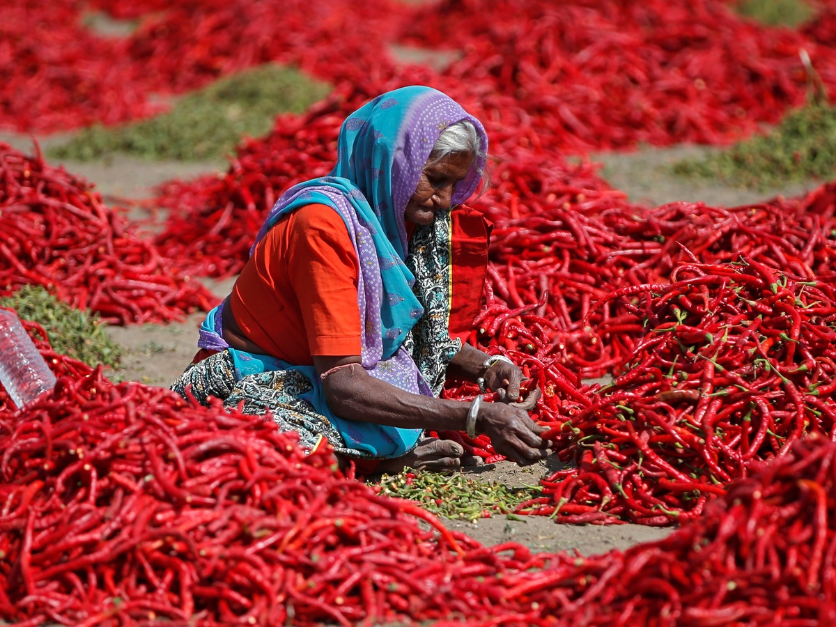Chili Pepper